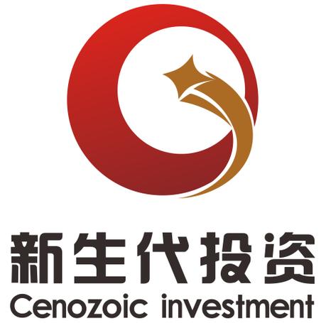 深圳市新生代投资发展